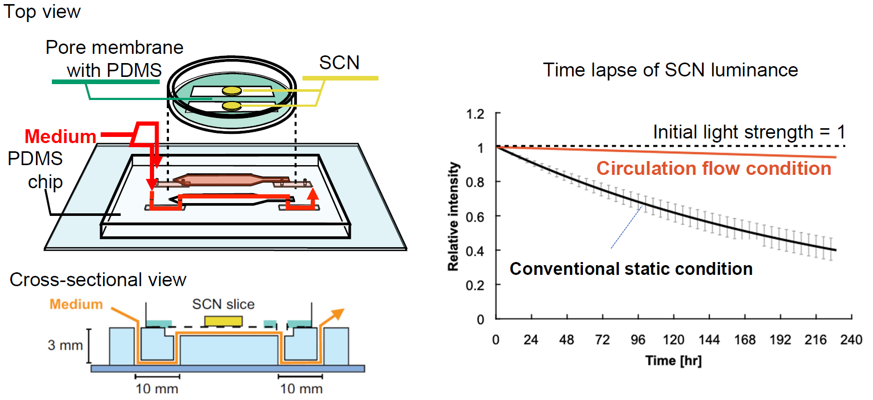 A microfluidic platform for long-term culturing of explanted tissues ...